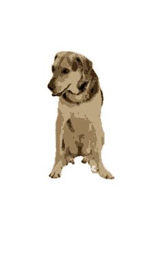 Dog Sitting Cartoon Gif Share the best gifs now