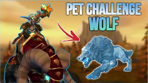 Wolf Pet Pvp Action Marksmanship Hunter Wotlk Classic Pvp