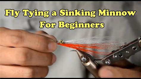 Fly Tying A Sinking Minnow For Beginners How To S YouTube