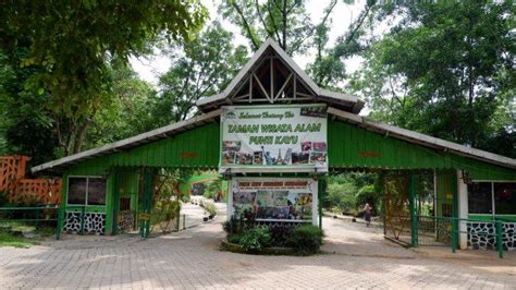 Tag Hutan Wisata Punti Kayu Palembang Taman Wisata Alam Punti Kayu