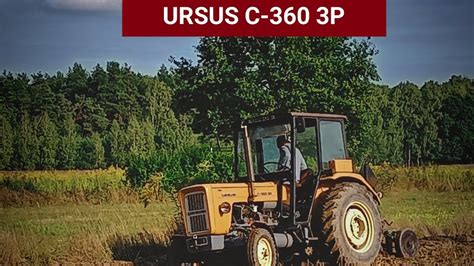 Orka po oborniku ursus c360 3p i pług 2 skibowy unia Grudziądz orka