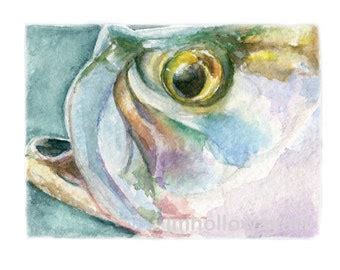 Watercolor Oysters Pair Oysters Print Oysters By Jenhollowayart