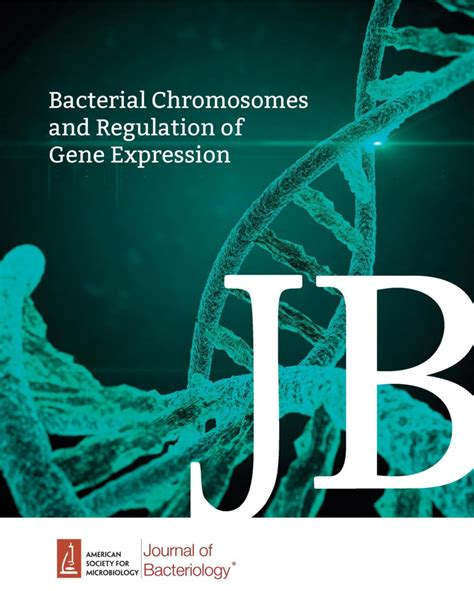 The Special Collection Of Minireview On Bacterial Chromosomes And