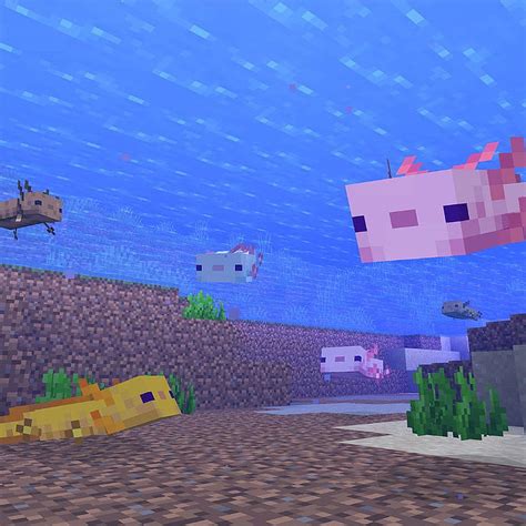 Axolotls Have Arrived In The Minecraft Caves And Cliffs Update Minecraft Axolotls Hd Phone