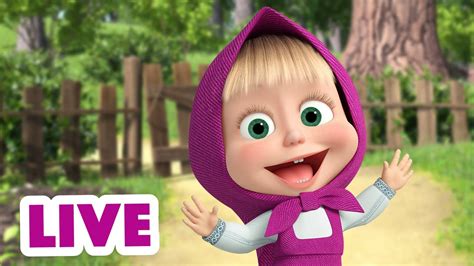 🔴 Live 玛莎和熊 👱‍♀️📺 搞笑动画片 🎩🐇 Masha And The Bear Youtube