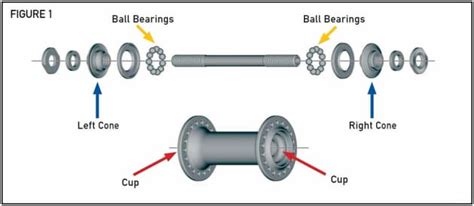 Bicycle Rear Hub Bearing Size - Bicycle Post