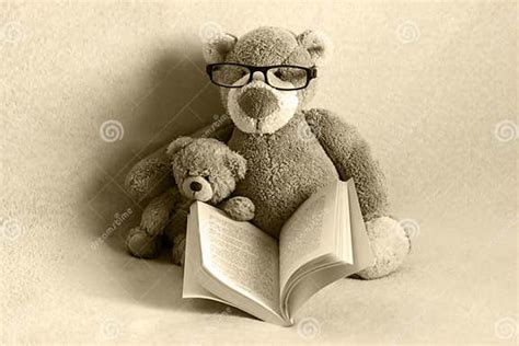 Teddy Bears Reading A Book Stock Image Image Of Cute 240722733