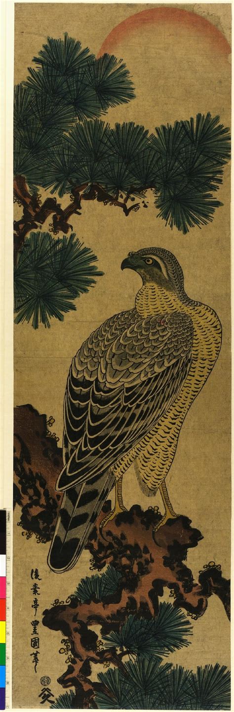 Kachoga Falcon On A Pine Branch Rising Sun Above Utagawa Toyokuni