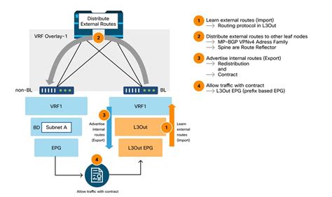 Troubleshoot Aci External Forwarding Cisco