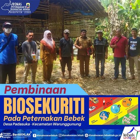 PEMBINAAN BIOSEKURITI PADA PETERNAKAN BEBEK DESA PADASUKA KECAMATAN