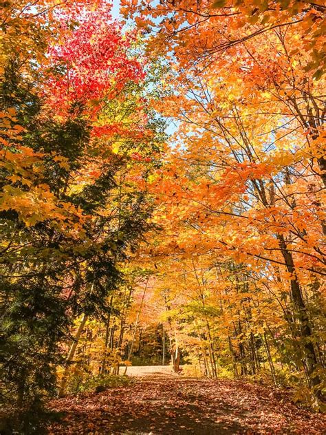 11 best places to see fall colours in ontario – Artofit