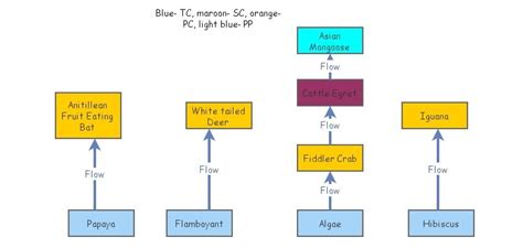 Island Food Web Insight Maker