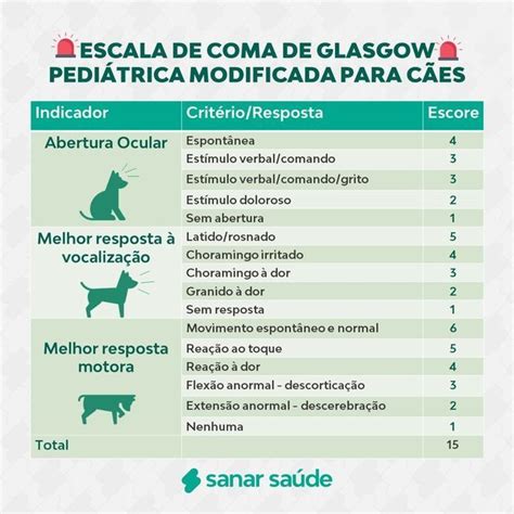 Veterinário da Sanar on Instagram Fala Vet Você já ouviu falar da