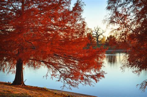 Fall At The Pond Norman Oklahoma Norman Oklahoma Favorite Things