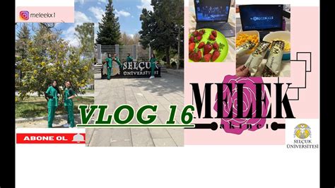 Vlog Ben Mle Stajda Bir G N Youtube