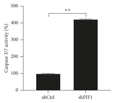 Pif Regulates A Cell Proliferation Via Promoting Apoptosis A B