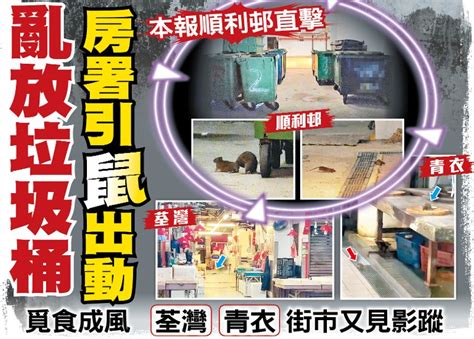 東方日報a1：亂放垃圾桶 房署引鼠出動｜即時新聞｜港澳｜oncc東網