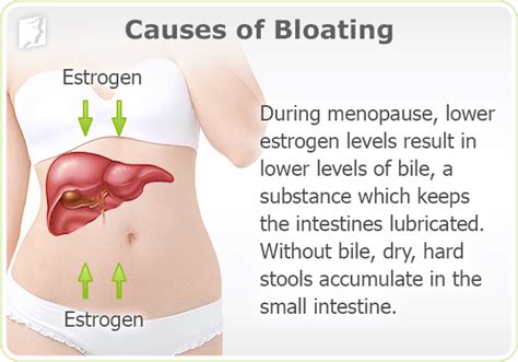 Gas Block Dimple Jig Causes Of Abdominal Bloating And Gas