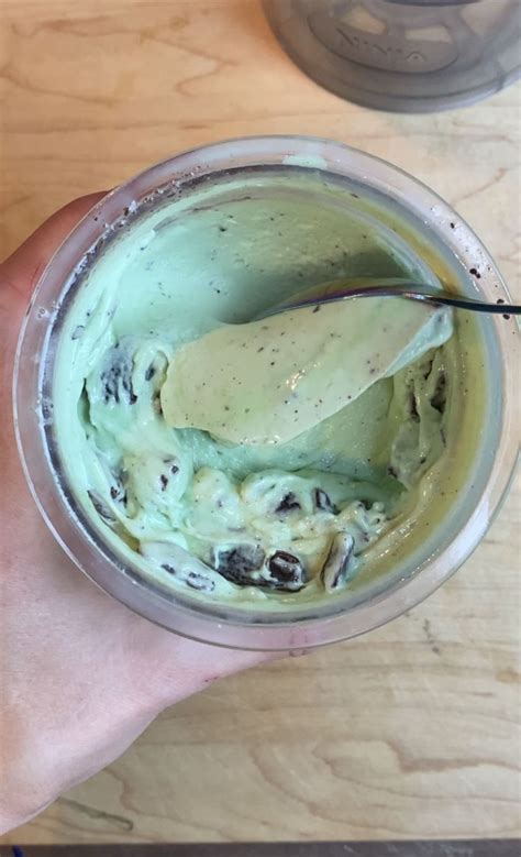 High Protein Keto Mint Chocolate Chip Ice Cream In The Ninja Creami