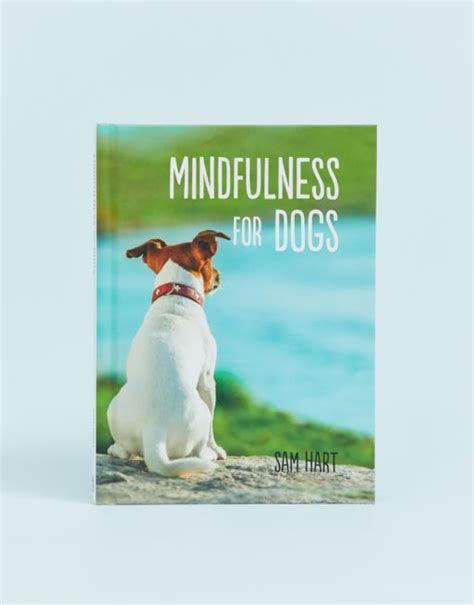 Mindfulness For Dogs Book Asos