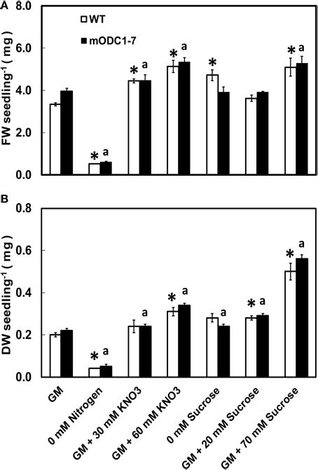 Frontiers Glutamate Ornithine Arginine Proline And Polyamine