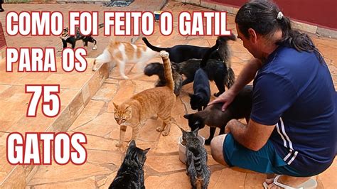 COMO FOI FEITO E QUANTO CUSTOU O GATIL PARA 75 GATOS YouTube