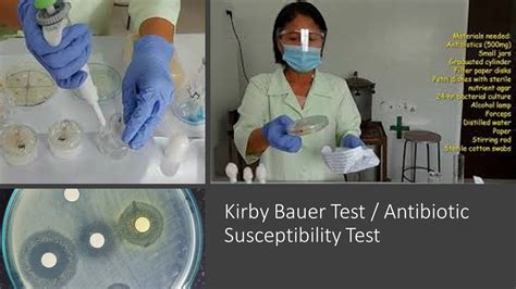 Kirby Bauer Test Antibiotic Susceptibility Test Youtube