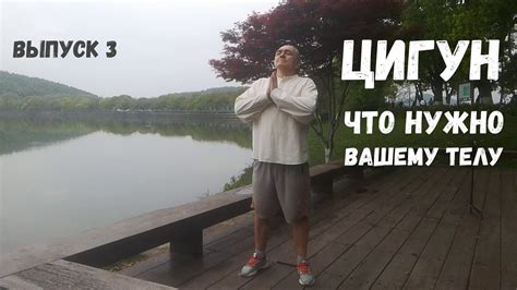 Цигун. Что это такое и для чего он нужен организму - YouTube