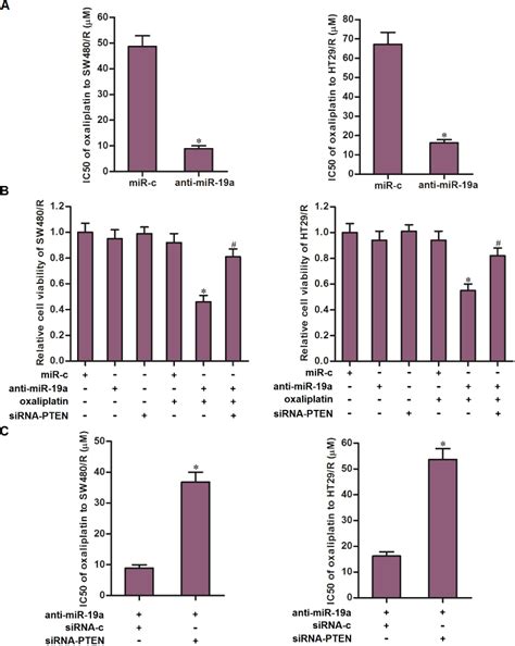 Anti Mir 19a Partially Reversed The Oxaliplatin Resistance Of Crc Cells