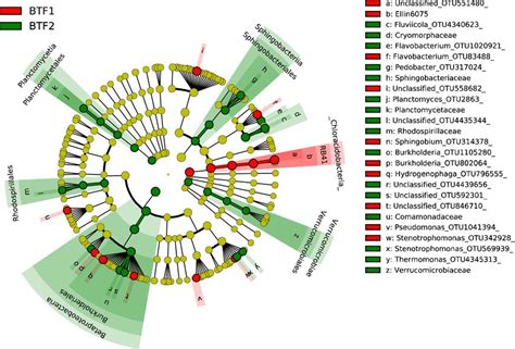 Linear Discriminant Analysis Lda Effect Size Taxonomic Cladogram