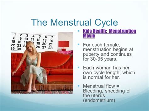 Guide To Sexual Intercourse During Your Menstrual Cycle