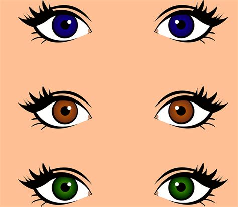 Hazel Eyes Clipart