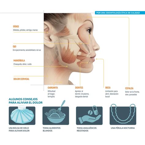 La Articulaci N Temporomandibular Atm La Gran Desconocida Cl Nica