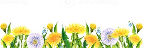 Watercolor Horizontal Banner With Summer Field Flowers Hand Draw