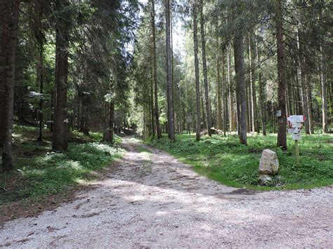 Monte Raitertal Zona Di Accampamento Dei Partigiani Nel Secondo