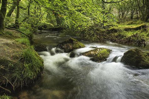 Beautiful forest stream landscape flowing through woodland with ...