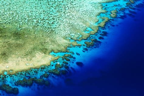 Unesco Scientists Warn That Great Barrier Reef Is In Imminent Danger Breaking Weather