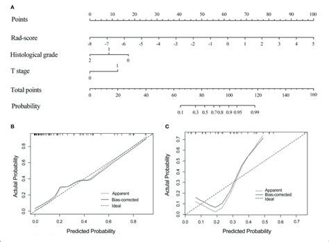 The Radiomics Nomogram Combines Three Items The Rad Score T Stage