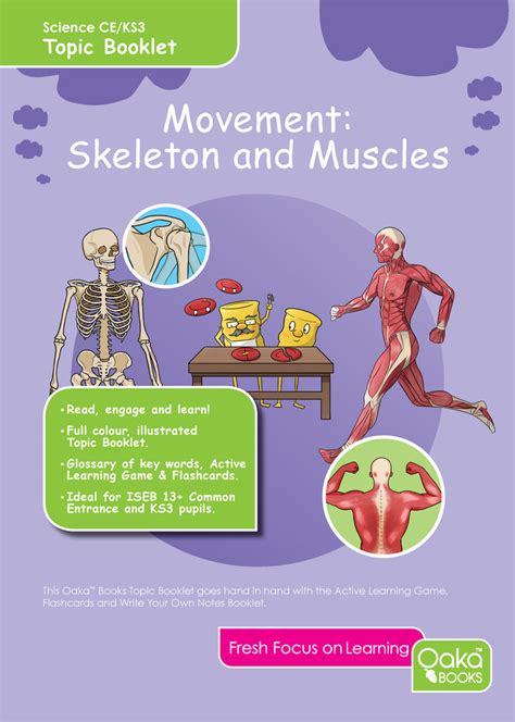 Ce Ks3 Biology Skeletons And Muscles Resources For Dyslexics