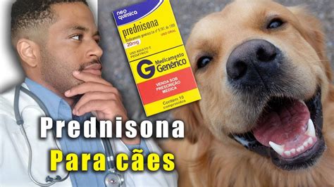 PREDNISONA para cachorro Dose indicações e colaterais YouTube