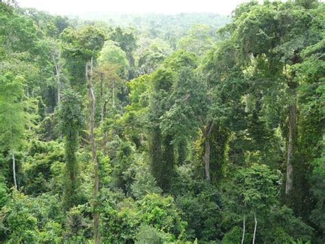 Mano River Iwrm Project Regional Cote Divoire Guinea Liberia