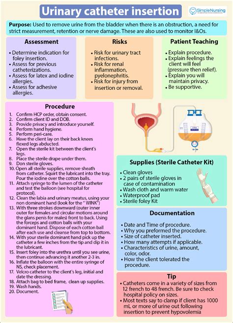 Urinary Catheter Insertion RNSG 1105 Studocu