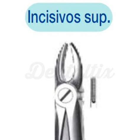 Forceps Exodoncia Maxilar Superior Kdm Dentaltix