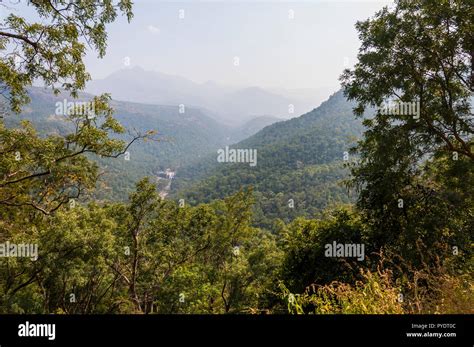 This shot was made in Munnar mountains surroundings in Kerala state ...