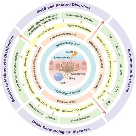 Frontiers Beyond Skin White Spots Vitiligo And Associated Comorbidities