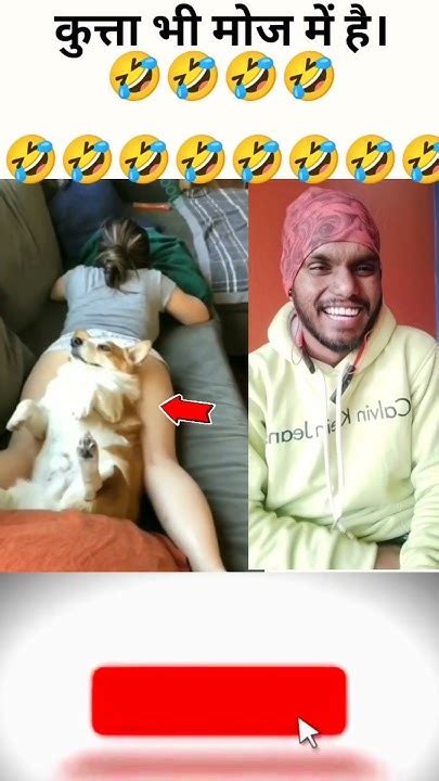 कुत्ता भी मोज में है।🤣🤣🤣shorts Viral Comedy Comedyvideo Explore