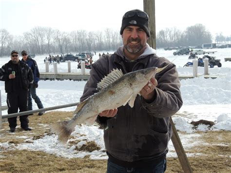 Lake Winnebago 2015 Walleye And Perch Year Classes Revealed My