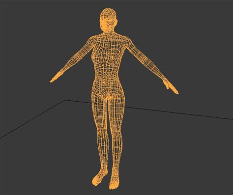 Blender 女性人体3d模型素材资源免费下载 Blender3d模型库