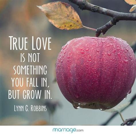 Apple Fruit Love Quotes - Quotes Collection