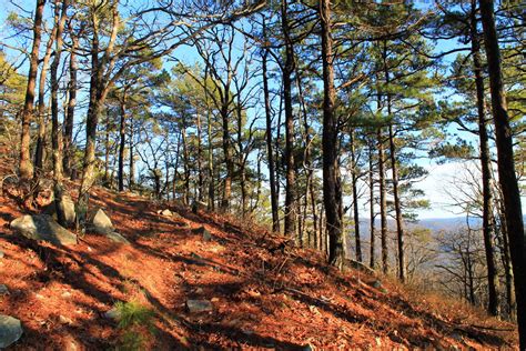 Ouachita Trail 02 Pics Of Winding Stair Th To Highpoint To Saddle 23